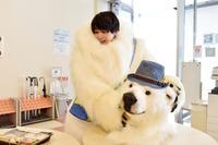 吉沢亮、波瑠主演「サバイバル・ウェディング」まさかの“着ぐるみ姿”で撮入（cinemacafe.net）