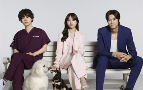 「日本は魅力的な国」韓国ドラマのリメイク、共同制作が続々公開「私の夫と結婚して」主演は佐藤健、小芝風花(西スポWEB OTTO！)