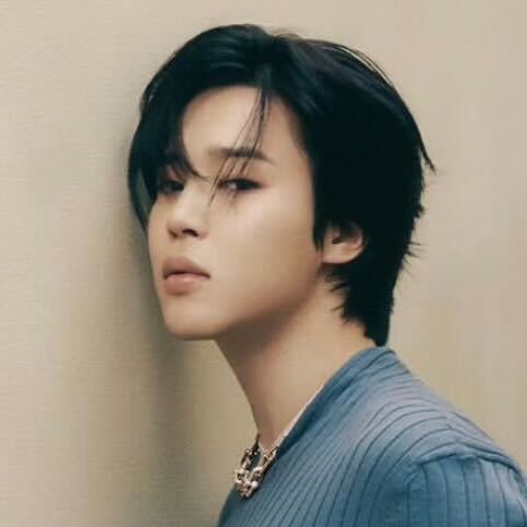 BTS・JIMIN「ハチに全身を刺された」北朝鮮に接する最前線…軍隊生活を振り返る(日刊スポーツ)