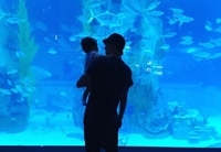 イ・ドンゴン＆チョ・ユンヒ、娘と水族館に出かけた様子を公開（WoW!Korea）