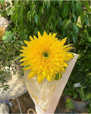 女優ミン・ヒョリン、近況ショットを公開…「お父さんに買ってもらった花」(WoW!Korea)